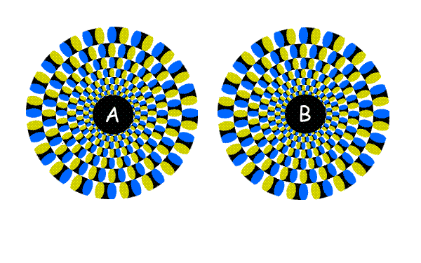 1000+ images about Optical illusions | Your brain ...