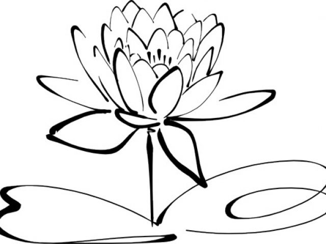 free black and white flower border clip art - photo #25