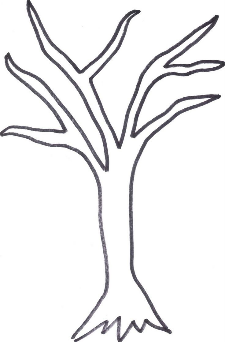 Tree Trunk Clipart Outline