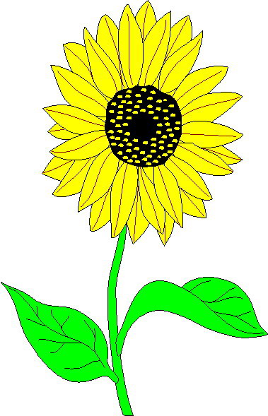Cartoon Picture Of A Sunflower - ClipArt Best