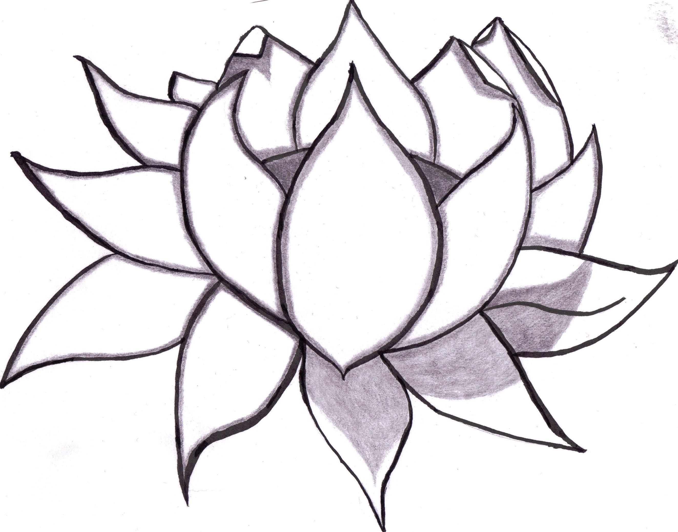 Easy Flowers Drawings - ClipArt Best