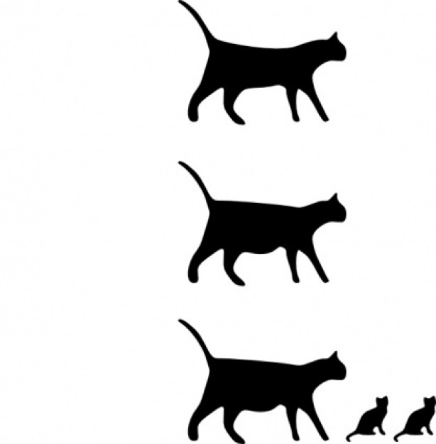 Cat Icons clip art | Download free Vector