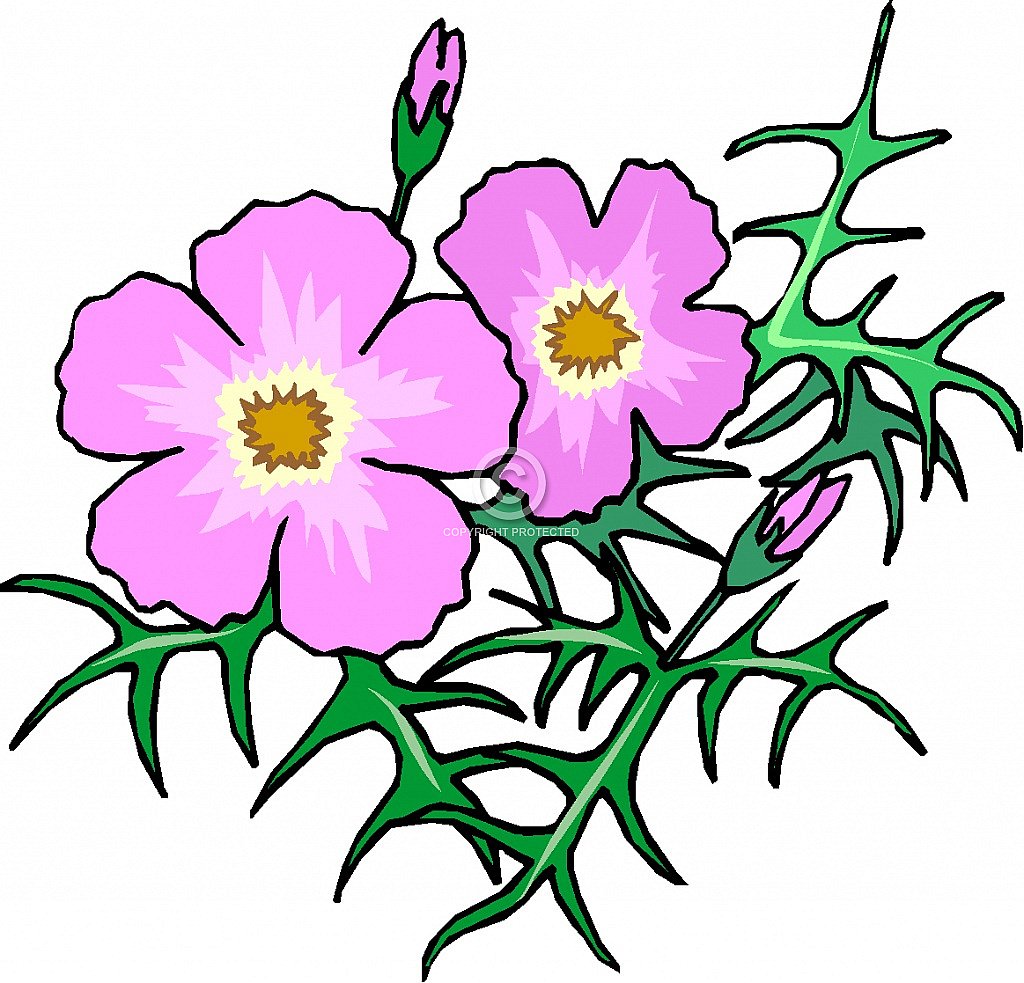 Free Flower Clip Art – Diehard Images, LLC - Royalty-free Stock Photos