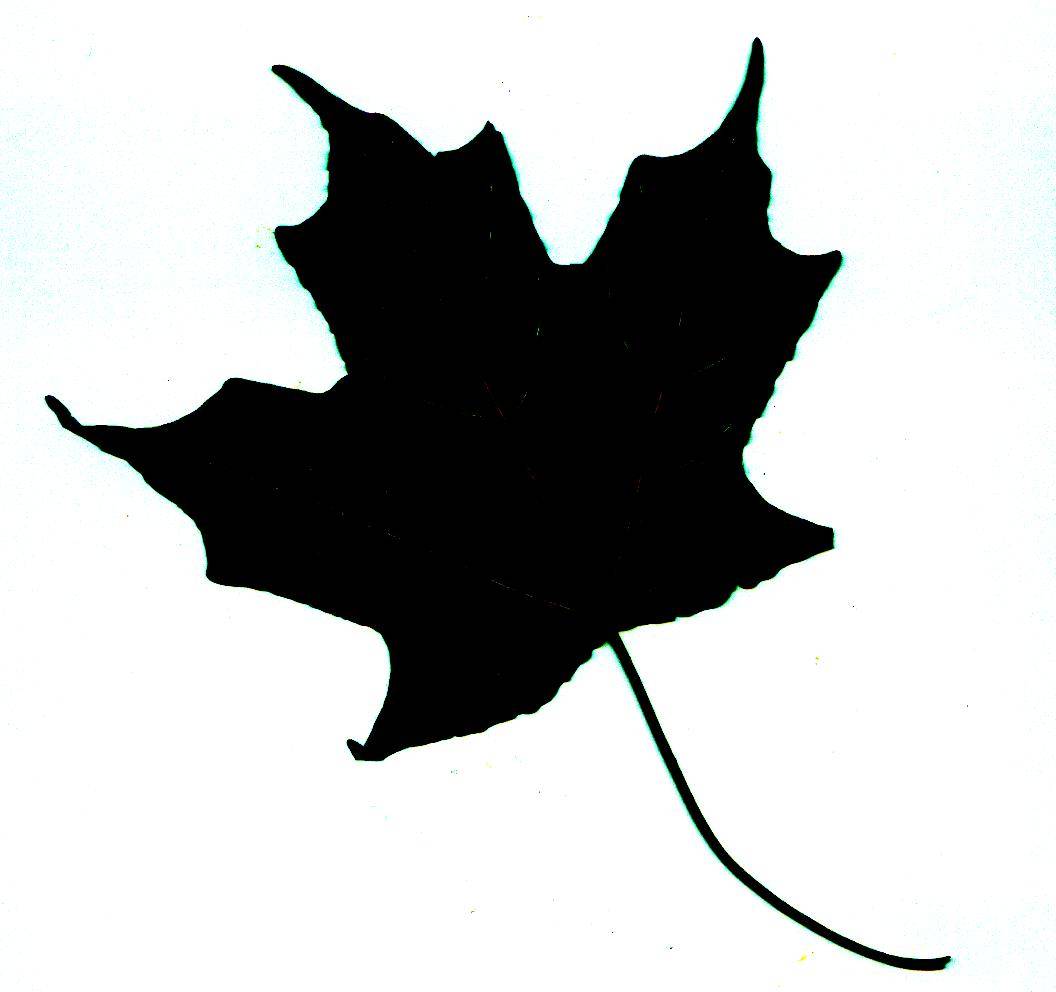 leaf silhouette clip art - photo #12