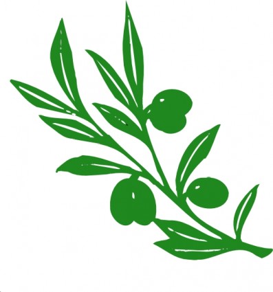 Olive Tree Branch clip art Free vector in Open office drawing svg ...