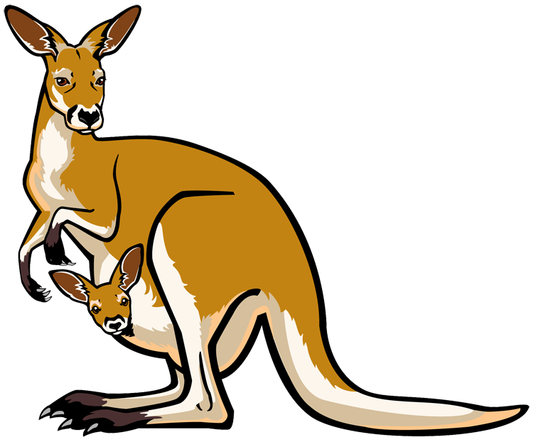 kangaroo drawings clip art - photo #1
