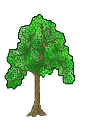 Tree clip art of large green trees