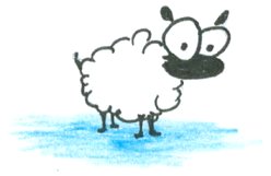 sheep | bluebison.