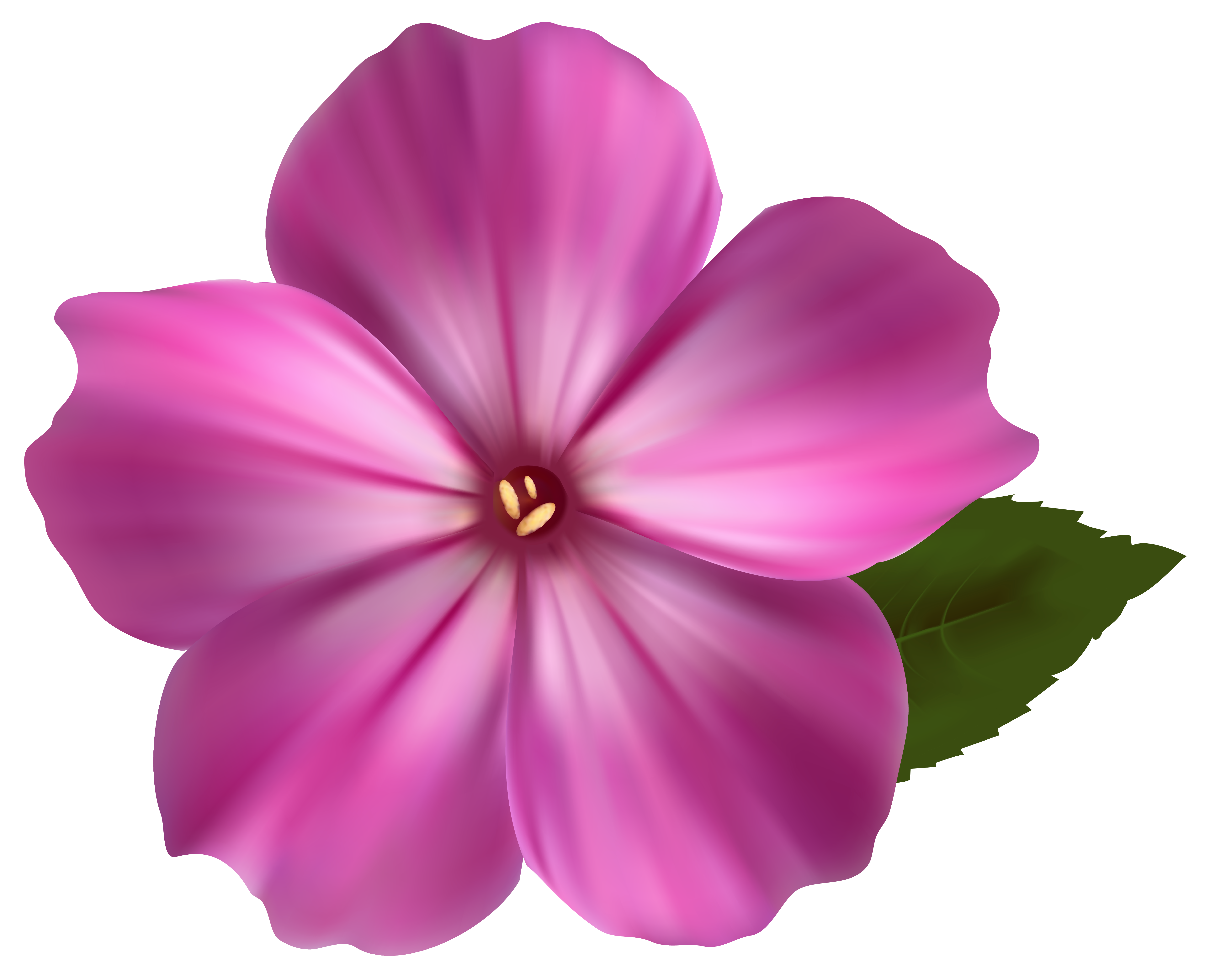 Pink Flower PNG Clipart Image