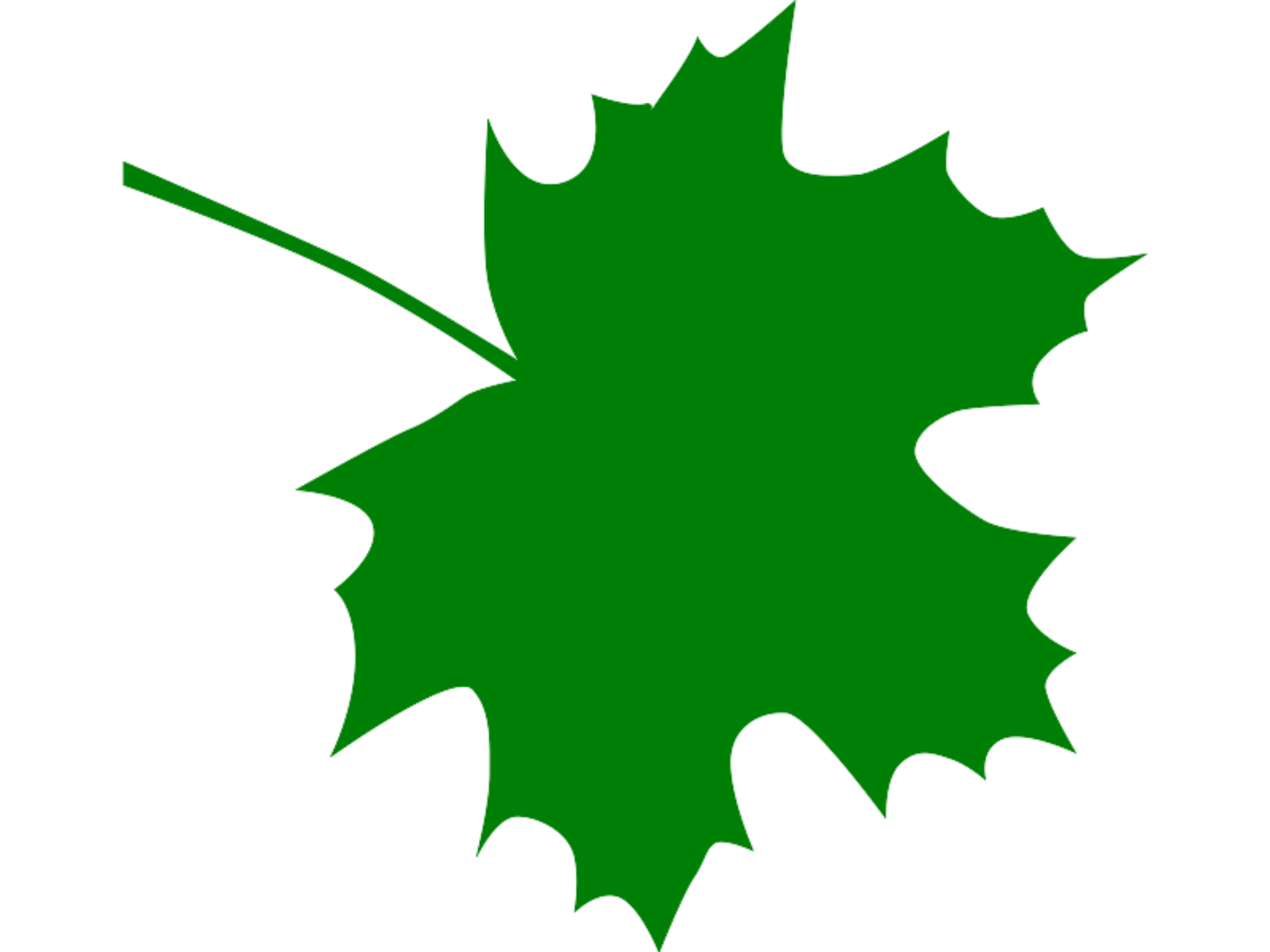Green maple leaf clipart
