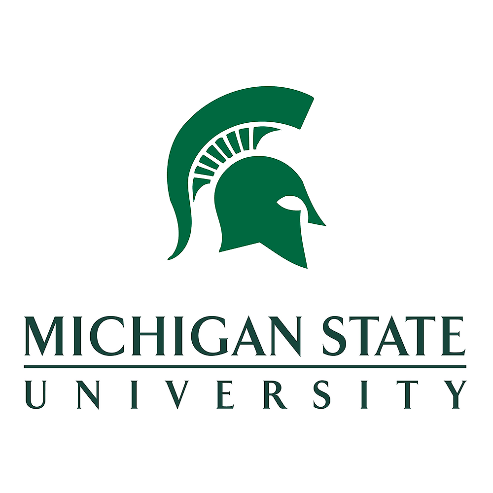 Michigan State Spartans Wordmark Logo 0 State