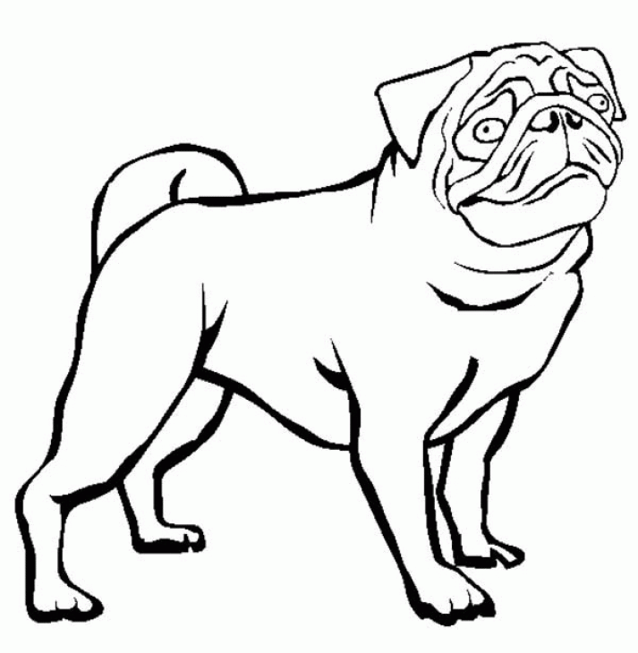 pug-printables-clipart-best