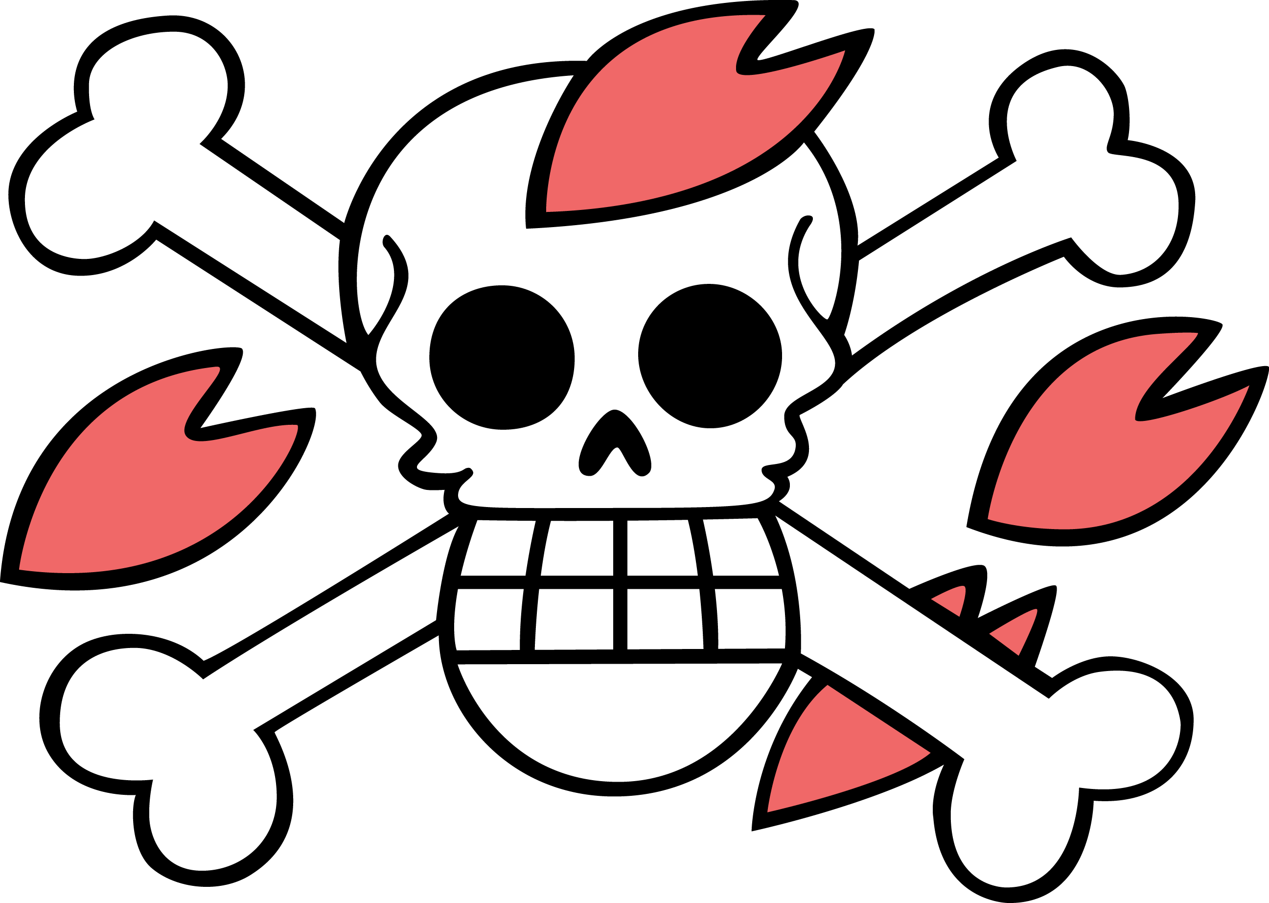 One Piece Logo Flag 358 Wallpaper | Wallpaperby.