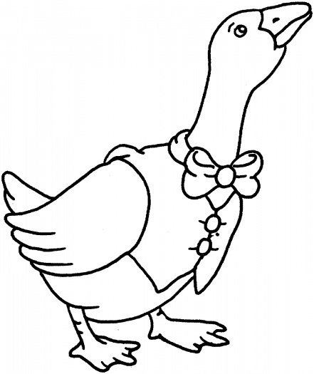 Ducks coloring pages | Super Coloring