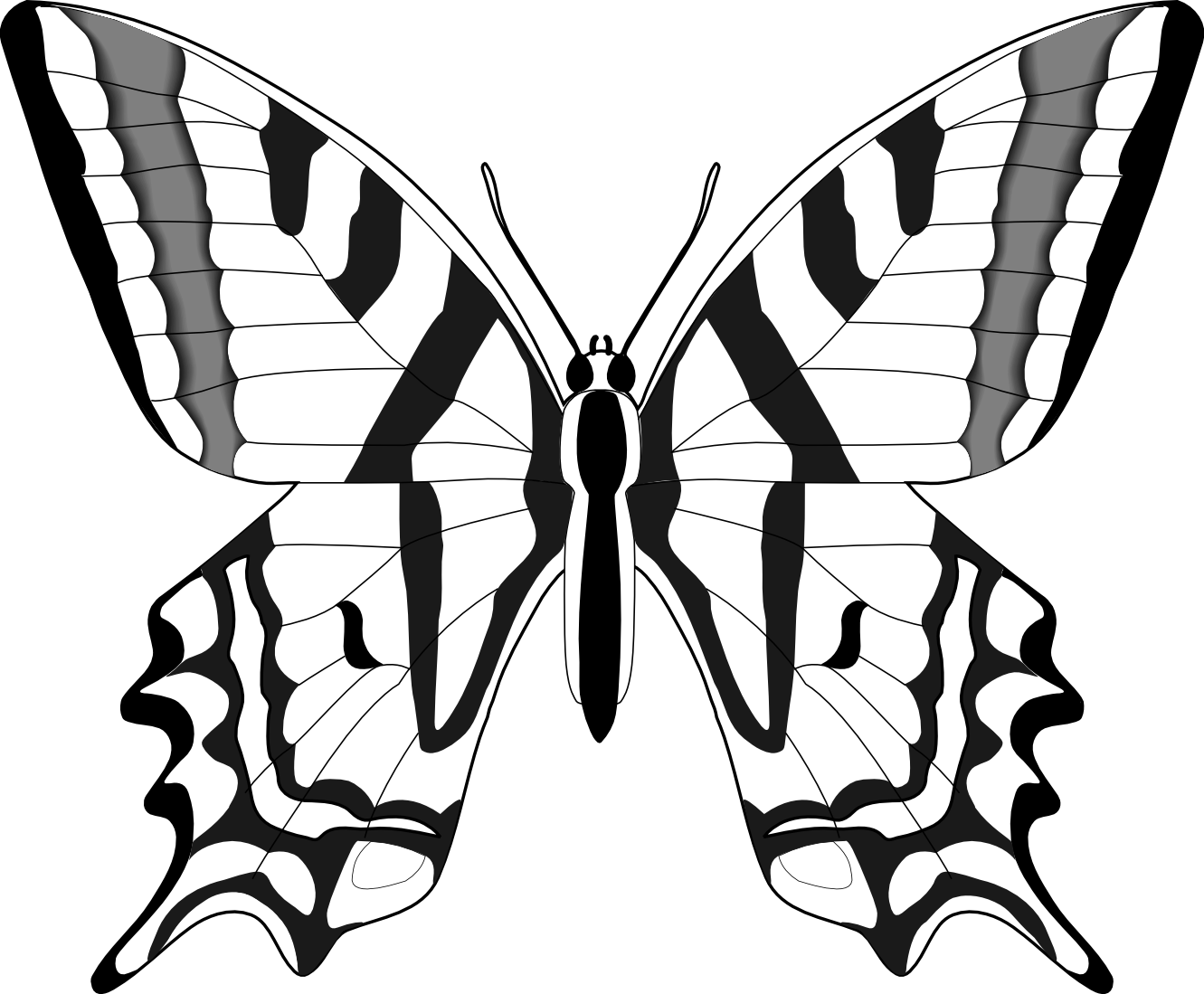 butterfly 55 black white line art SVG