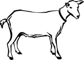Goat Clip Art