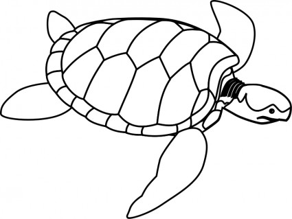 Green sea turtle line art Vector clip art - Free vector for free ...