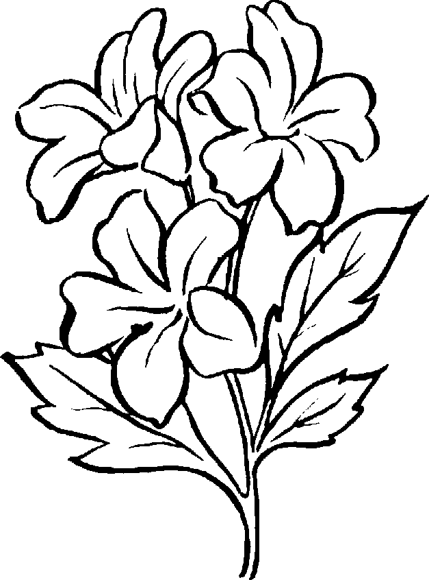 Tomato Plant Clipart Black And White