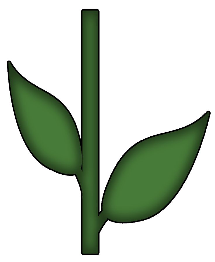 Template Of Petals Stem And Leaves ClipArt Best