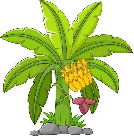 Banana Tree Clipart