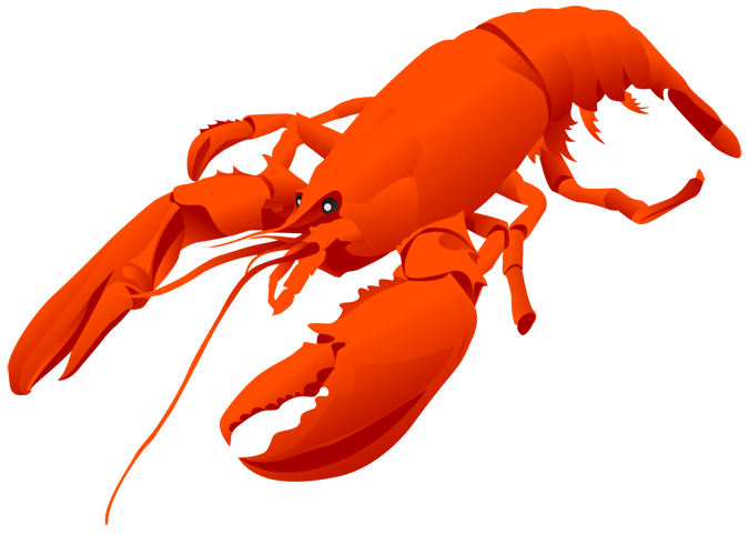 clipart lobster pictures - photo #2