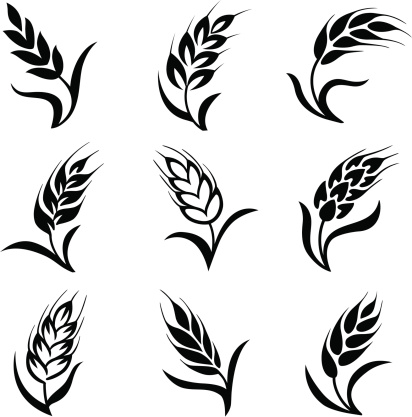 Wheat Clip Art, Vector Images & Illustrations