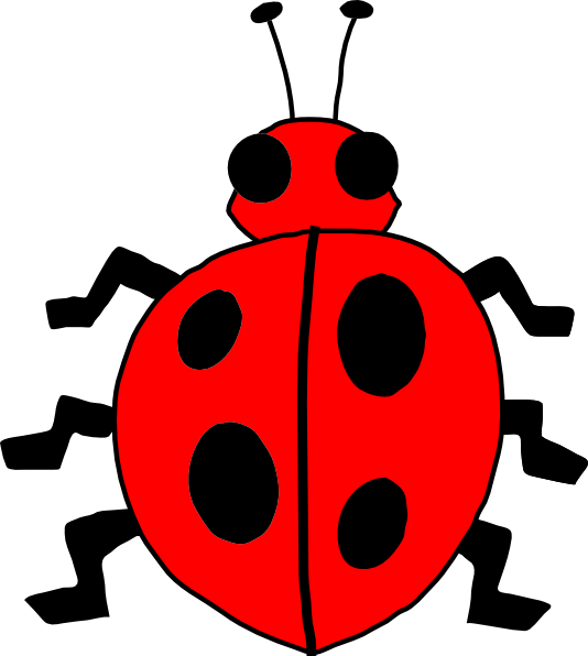 Cartoon Ladybug Clipart