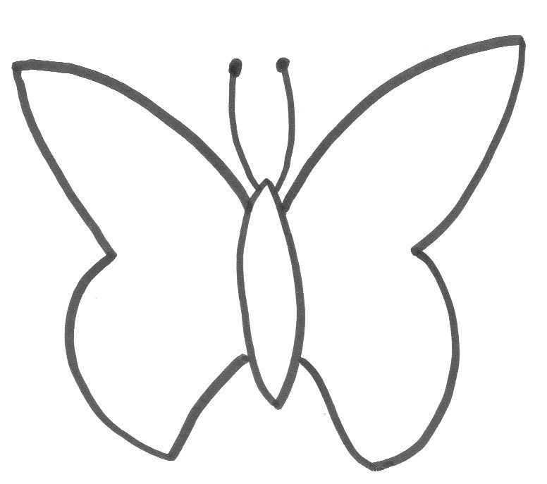 Blank Butterfly Templates - ClipArt Best