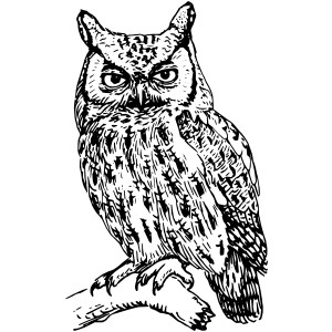 Owl clip art - vector clip art online, royalty free & public ...