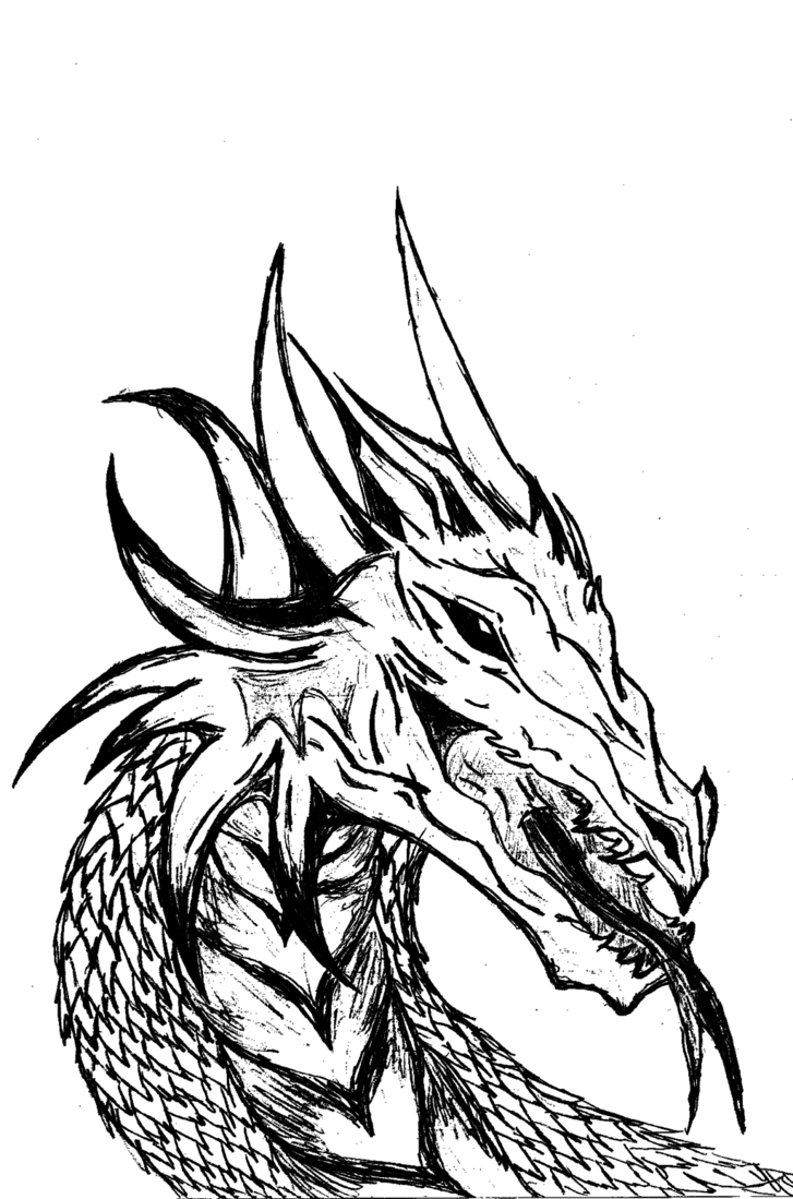 Dragon Drawings Black And White | Free Download Clip Art | Free ...