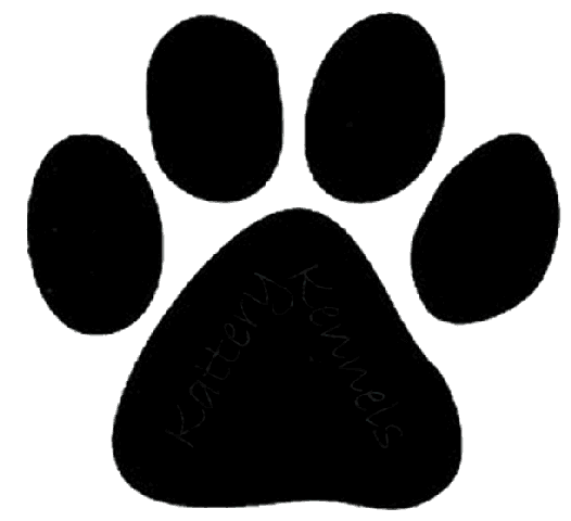Latest Black Dog Paw Print Tattoos: Real Photo, Pictures, Images ...