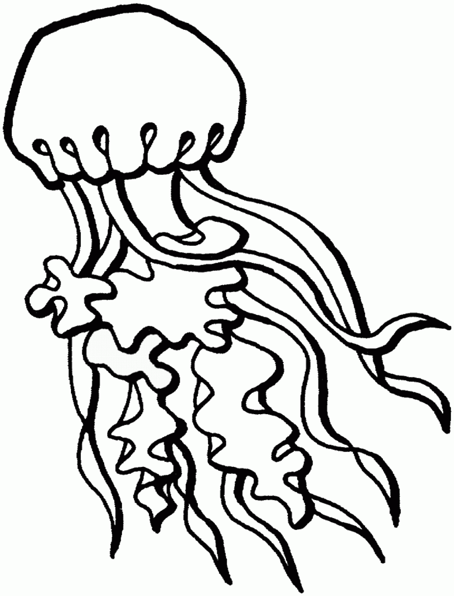 Jellyfish Coloring Pages - ClipArt Best