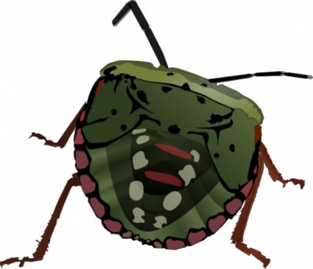 Stink Bug clip art | Download free Vector
