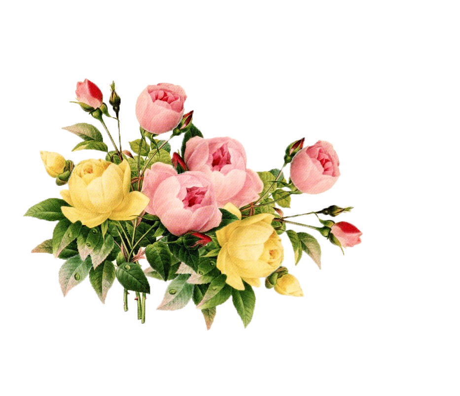 free clipart flowers vintage - photo #19