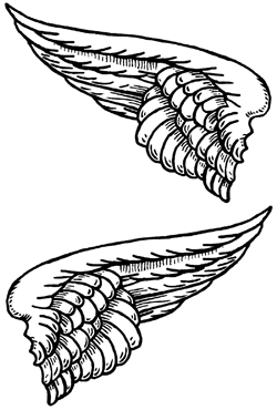Drawings of Angel Wings - Image 3