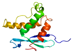 250px-Protein_NCF1_PDB_1gd5.png