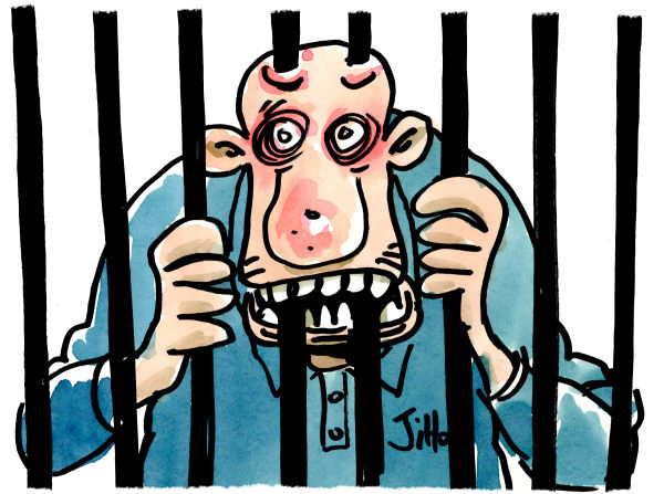 Jiho - France - Prison - English - prison, jail cell, crime, criminal