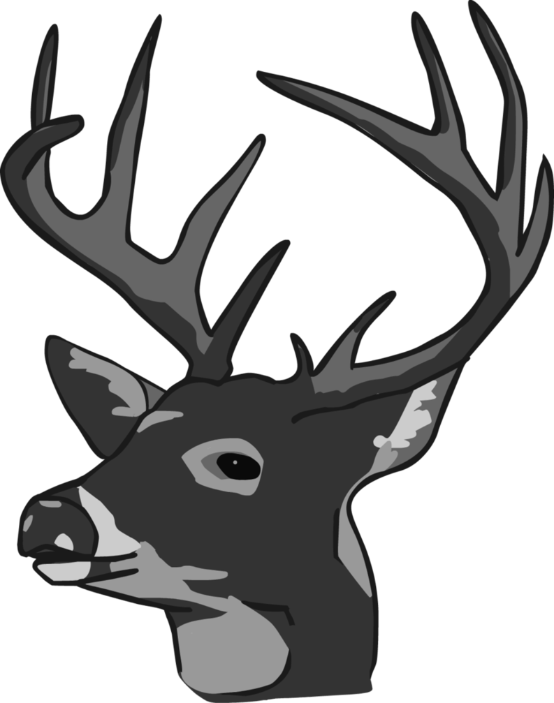 deer head coloring pages - photo #29