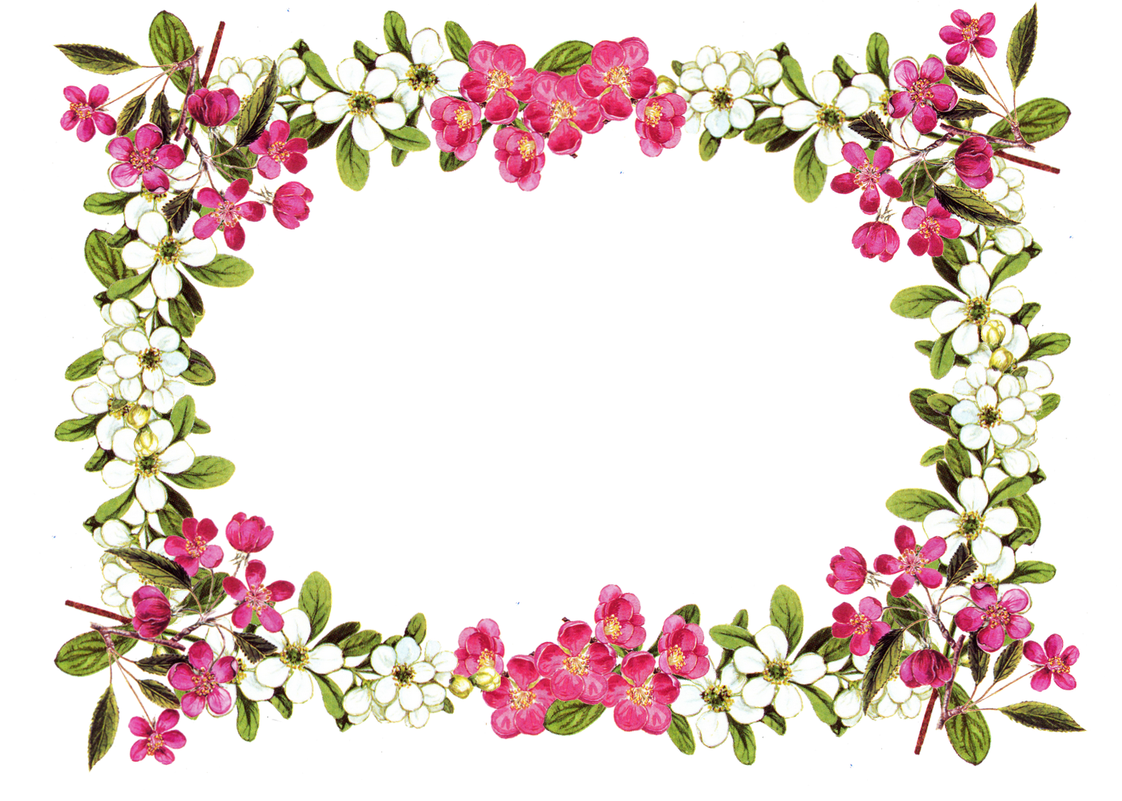 free floral clip art frames - photo #1