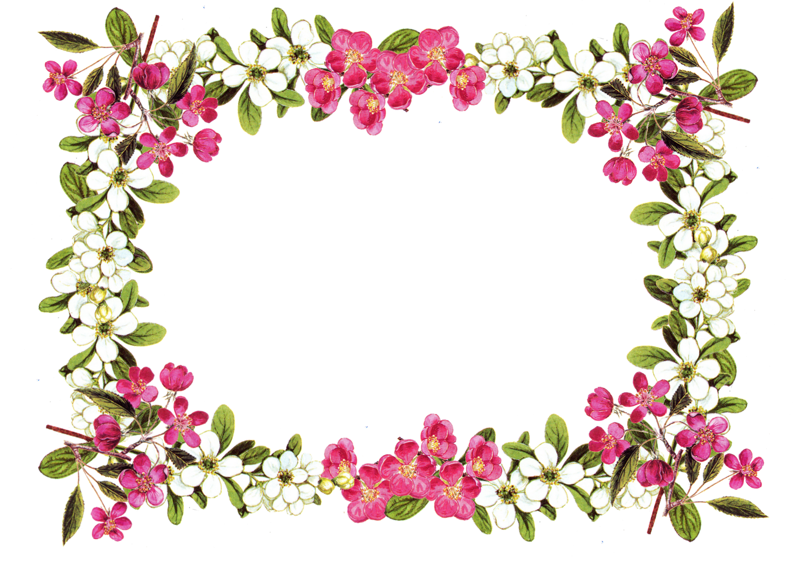 free clipart of flower borders - photo #7