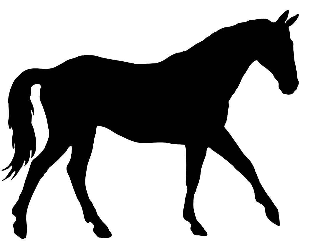 Horse Silhouette