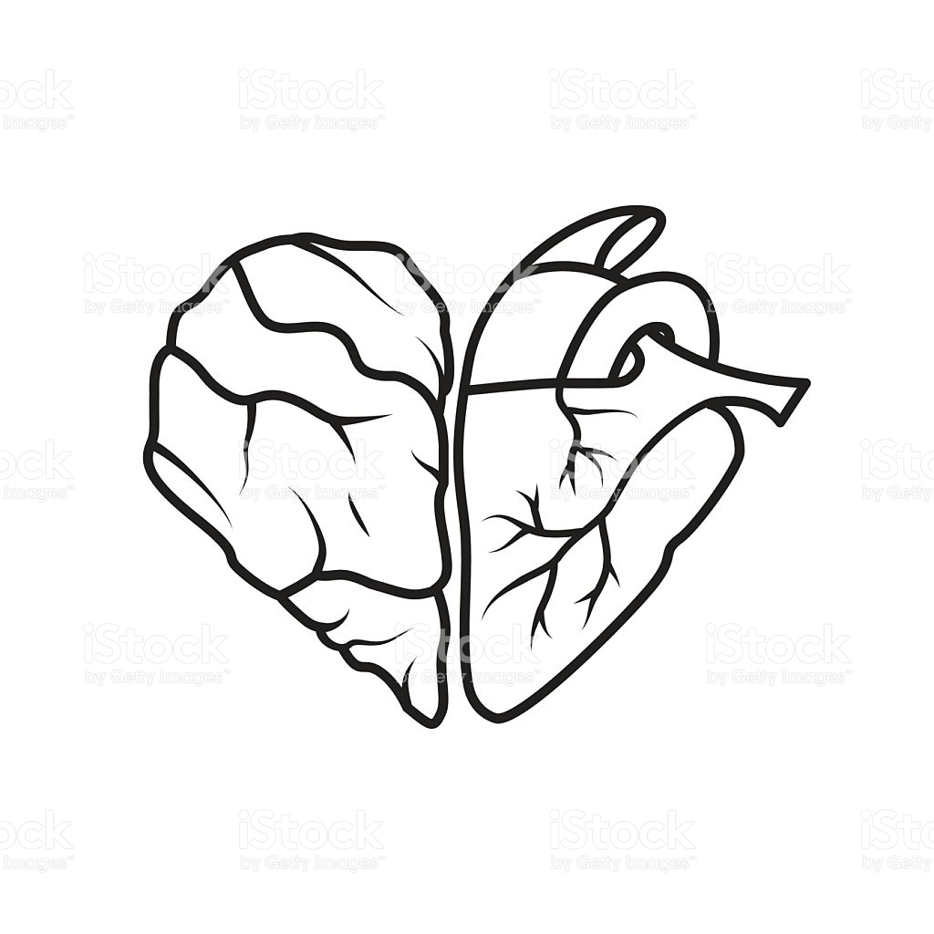 Conceptual Art Heart And Half Of A Brain Vector stock vector art ...