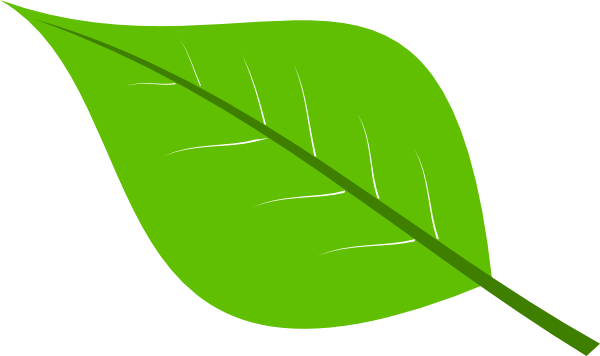 Apple Leaves Clipart