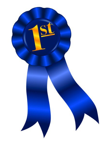 First place award ribbon clipart