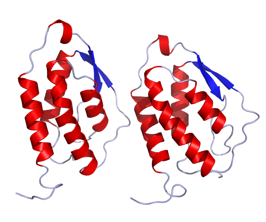 GMCSF_Crystal_Structure.rsh.png