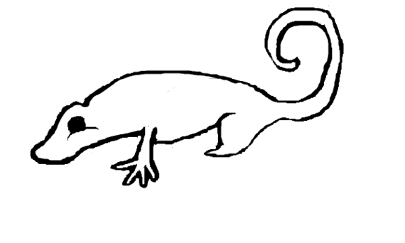 Lizard Outline Template Clipart - Free to use Clip Art Resource