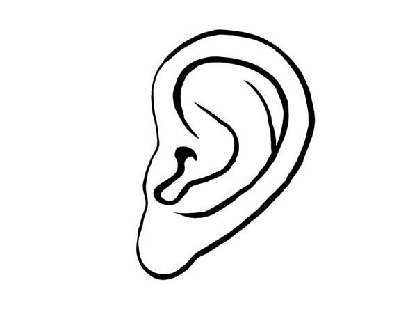 Ear Pictures For Kids ClipArt Best