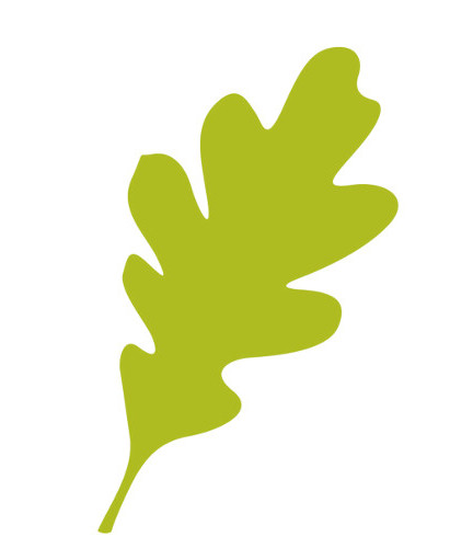 free clip art oak leaf - photo #20