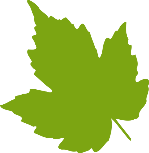 Green maple leaf vector image | Public domain vectors