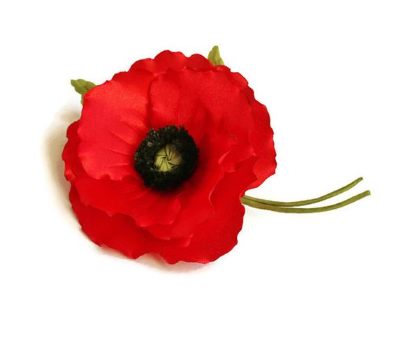 real poppies clipart best real poppies clipart best